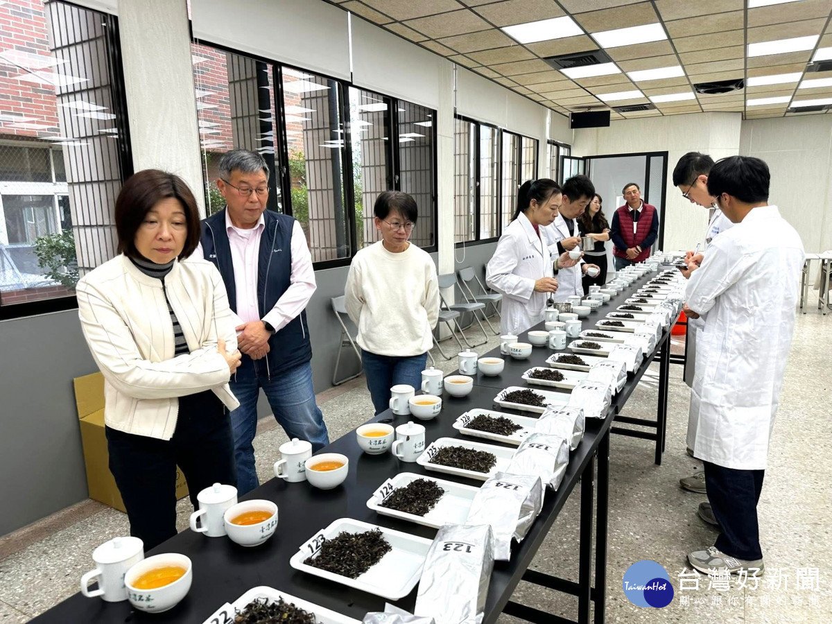 竹縣冬季東方美人茶評鑑。