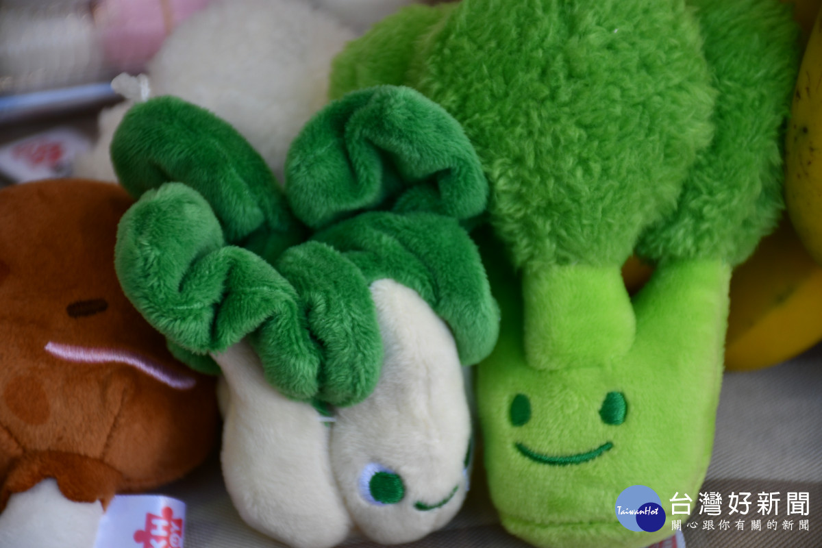 可愛的娃娃菜。圖／記者鄧富珍攝