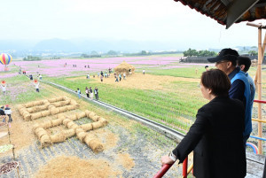 花海稻浪共織農村美景，田中稻草藝術節打造12公頃大地畫布。圖／記者鄧富珍攝
