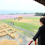 花海稻浪共織農村美景，田中稻草藝術節打造12公頃大地畫布。圖／記者鄧富珍攝