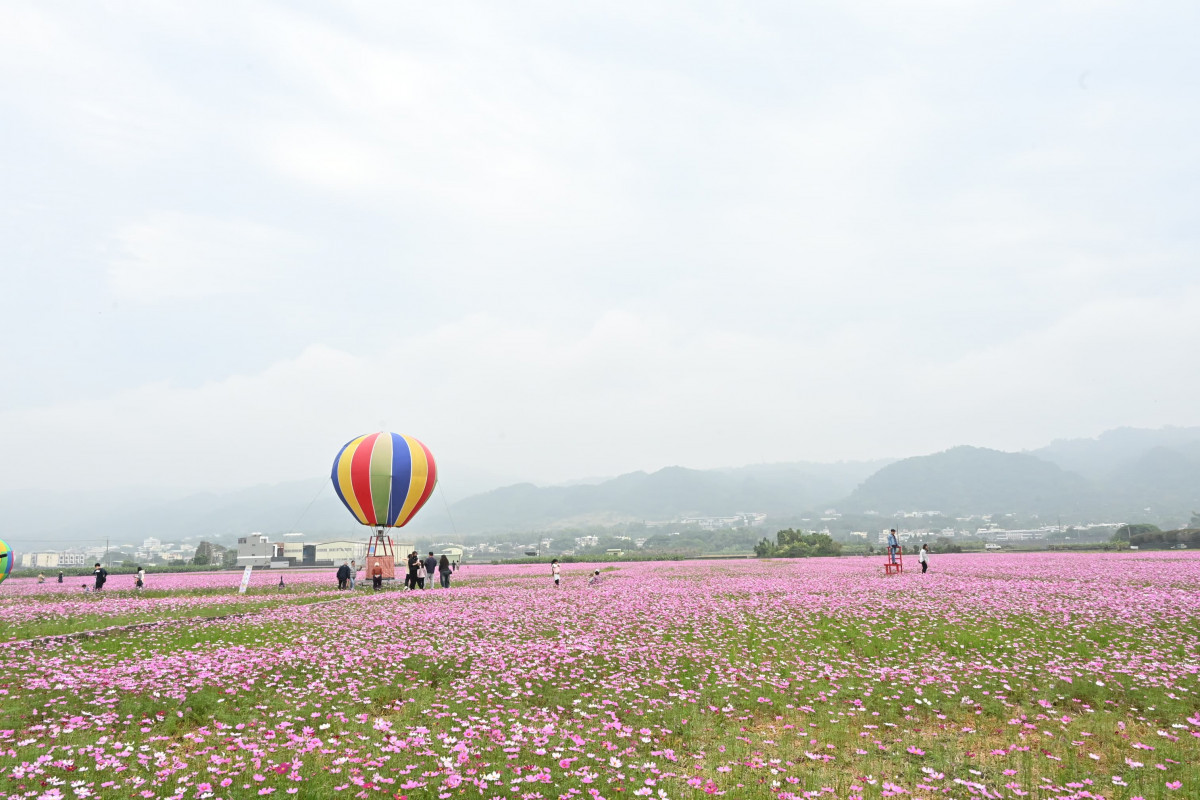 田中稻草藝術節現場。圖/記者鄧富珍翻攝
