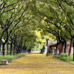 東螺溪8.3公里水綠廊道完工，5處亮點串聯健行新路線。圖／彰化縣政府提供