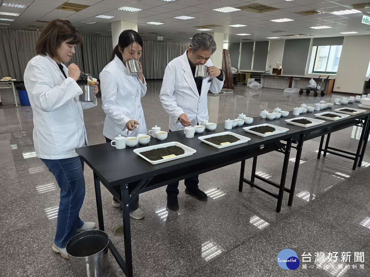 經由專業評審初複評選出冬季好茶。（名間農會提供）