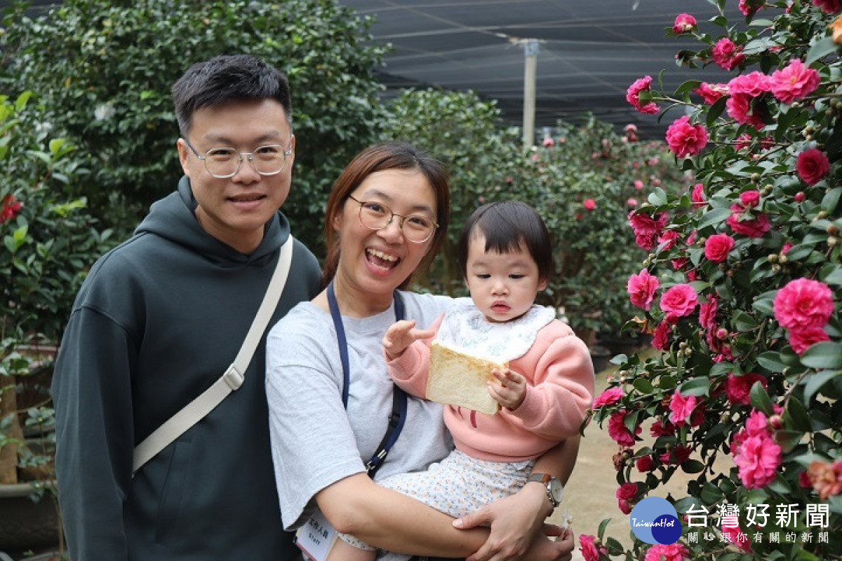 茶花展邀請大家漫步茶花園，賞花、看展、品茶，感受綠意美學。