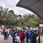 清境農場一切正常，旅客安心進入青青草原觀賞綿羊秀及馬術表演。（清境農場提供）