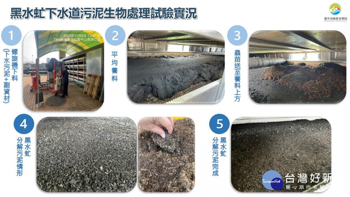 黑水虻污泥生物處理試驗過程