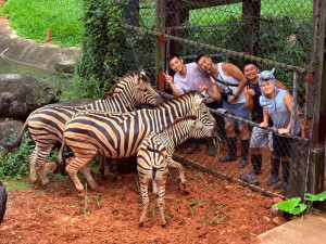 馬到成功專案一次把最受歡迎六種動物體驗包進住房專案中，包含最新最受歡迎的斑馬生態體驗。
