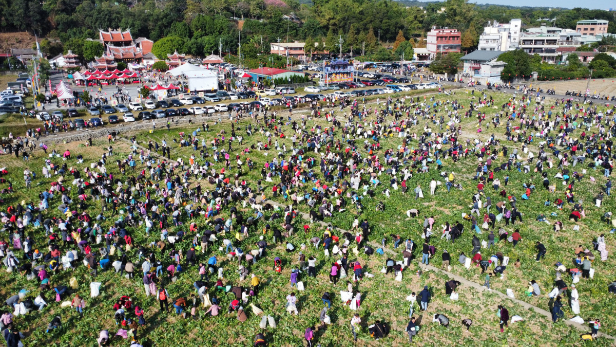 從產地到餐桌,芬園「白寶玉出土記」秒殺登場,吸引近6千人參與。圖/彰化縣政府提供