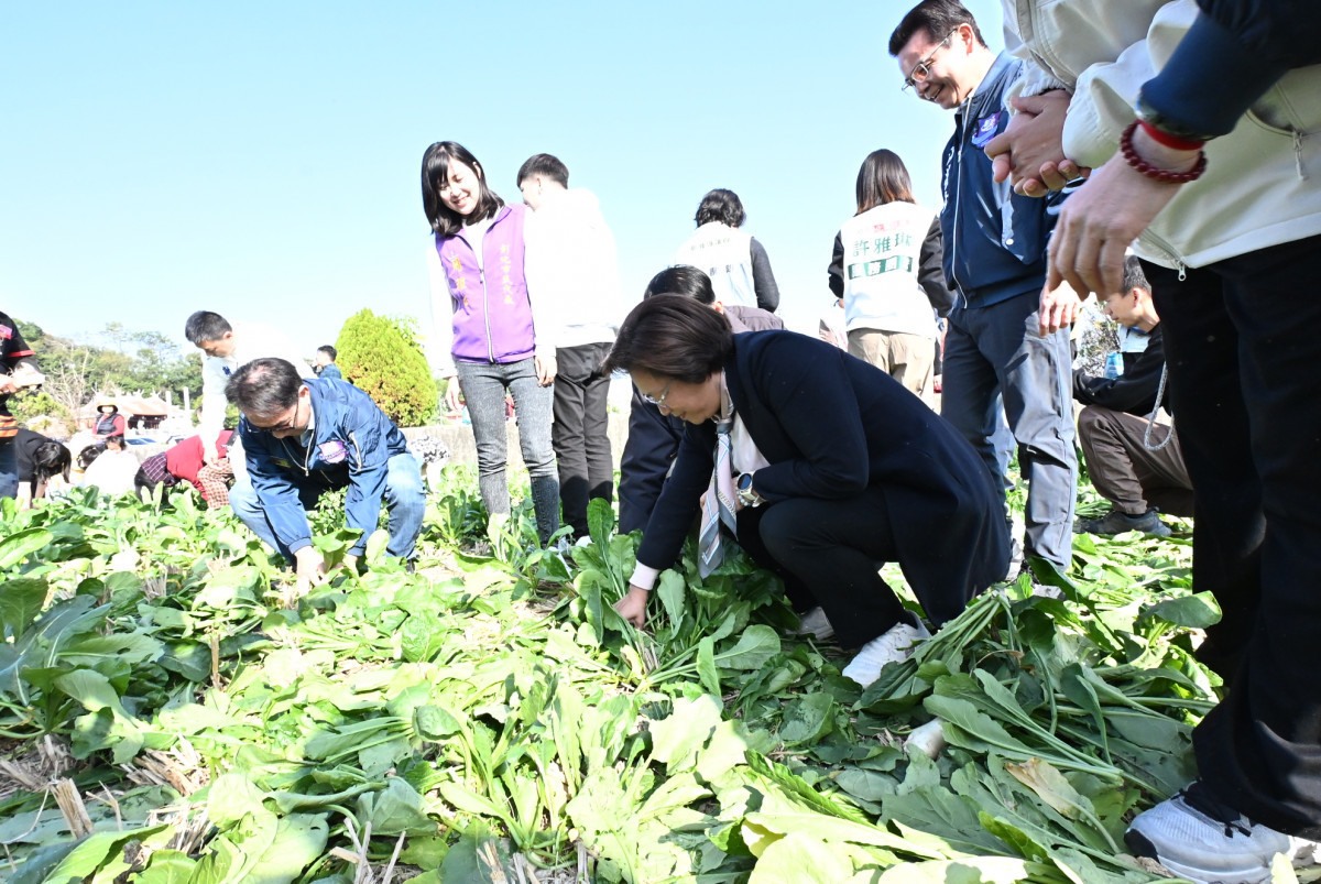 從產地到餐桌,芬園「白寶玉出土記」秒殺登場,吸引近6千人參與。圖/彰化縣政府提供