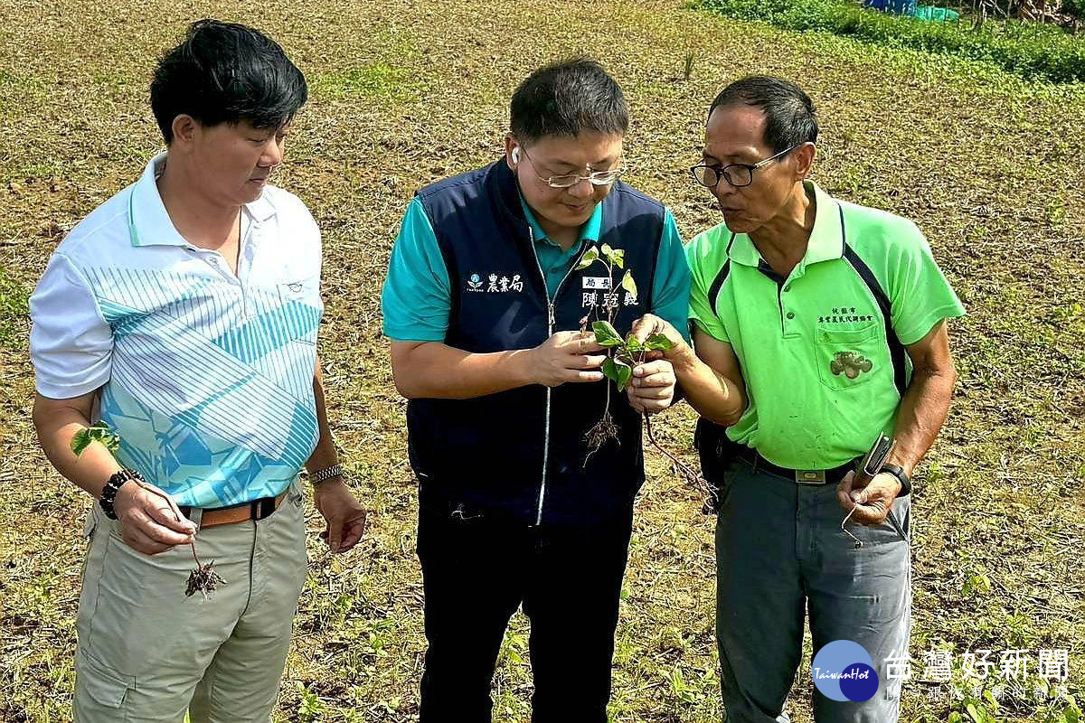 農業部綠色環境獎勵補貼開放申報，桃市加碼補助最高4.5萬獎勵金 。 <br />
