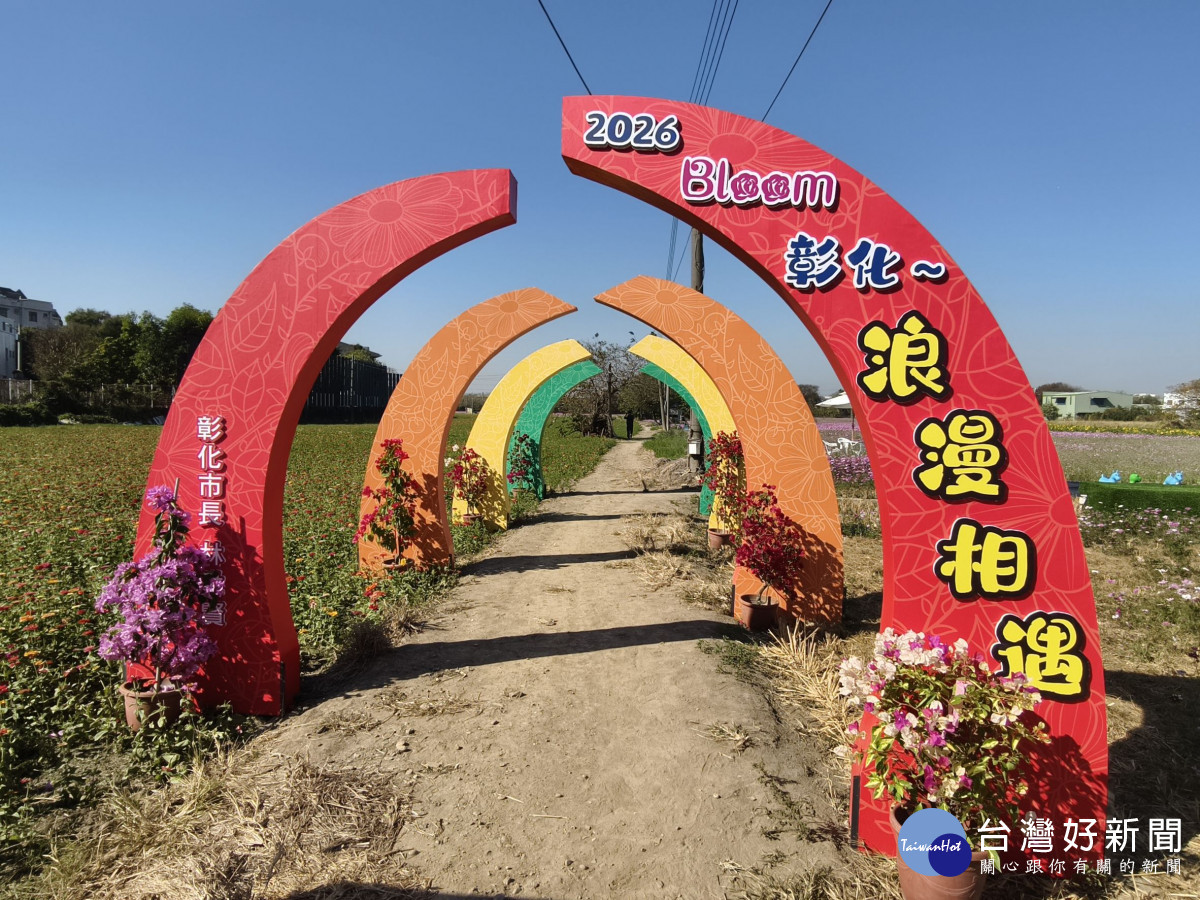 拍爆了!彰化8公頃花海盛開,1/17限定拔蘿蔔、逛市集。圖/記者鄧富珍攝