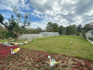 （圖／高雄市府都市發展局）