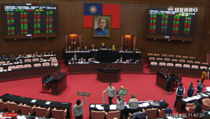 （圖／翻攝自國會頻道YouTube直播）