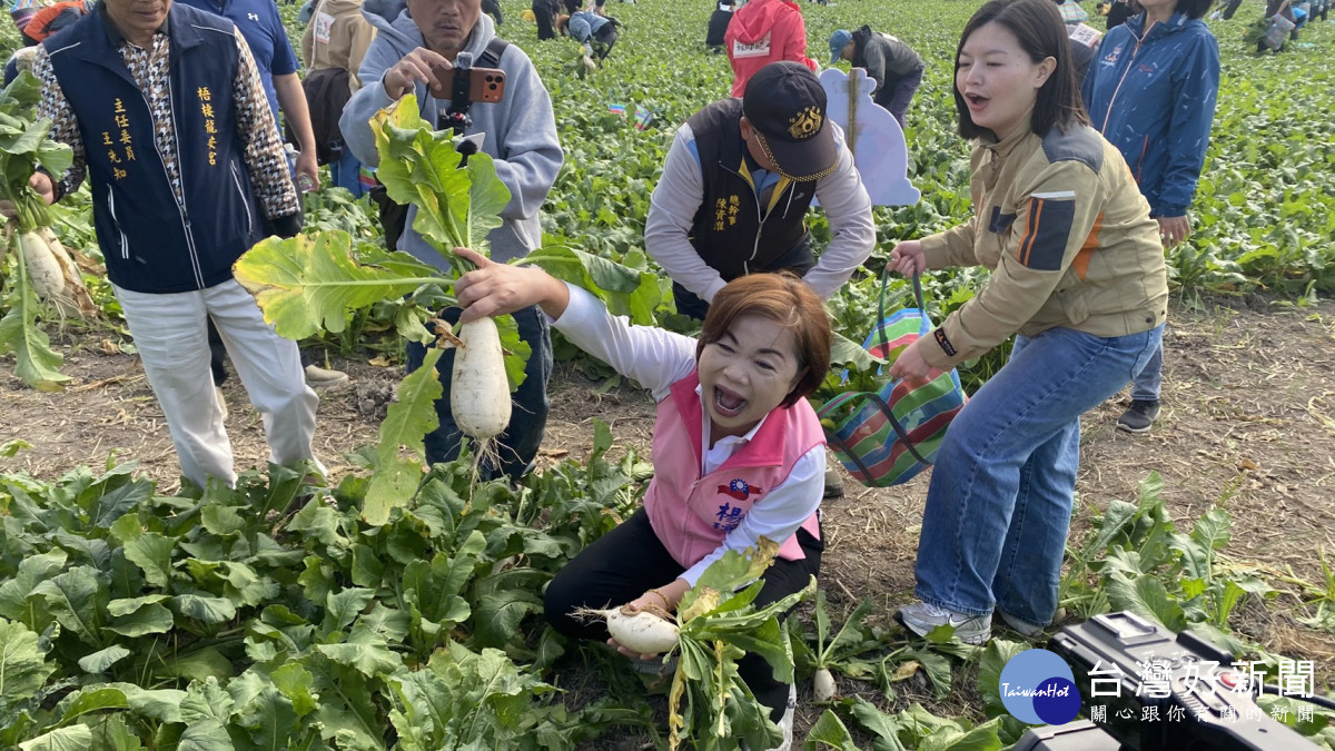 楊瓊瓔一同下田體驗拔蘿蔔。