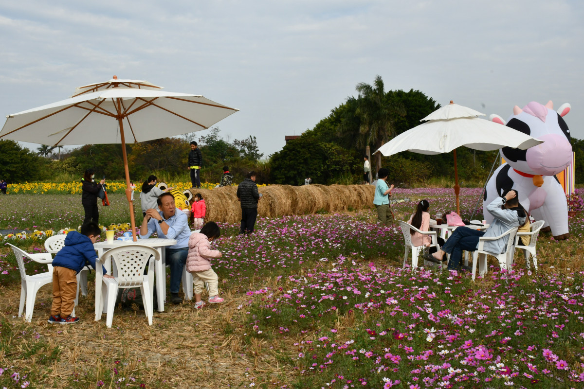 置身花海中在花海涼亭小憩。圖／彰化市公所提供