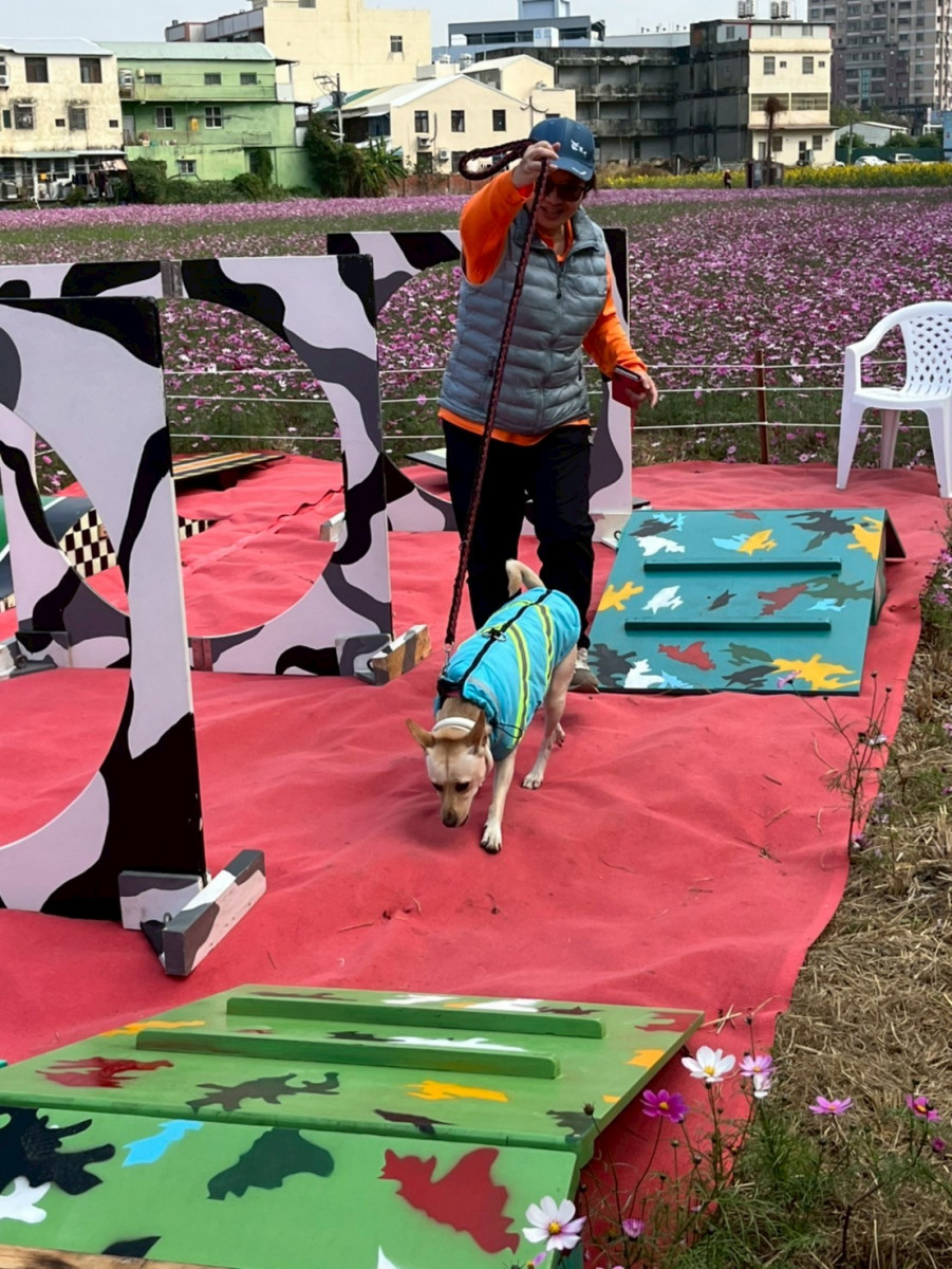 毛孩闖關、義剪服務與狂犬病預防注射。圖／彰化市公所提供