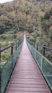 山風一號吊橋。（玉管處提供）