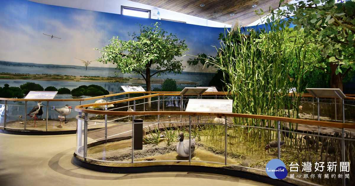 台江遊客中濕地生態展示