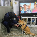 （圖／台北市府警察局內湖分局）