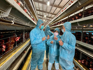 全力防堵禽流感，桃市加強八大防護網嚴陣以待。