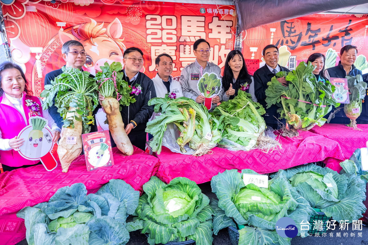 桃園市長張善政2出席「115年度楊梅區農民節慶祝活動暨稻穀烘乾機設備啟用典禮」。<br />