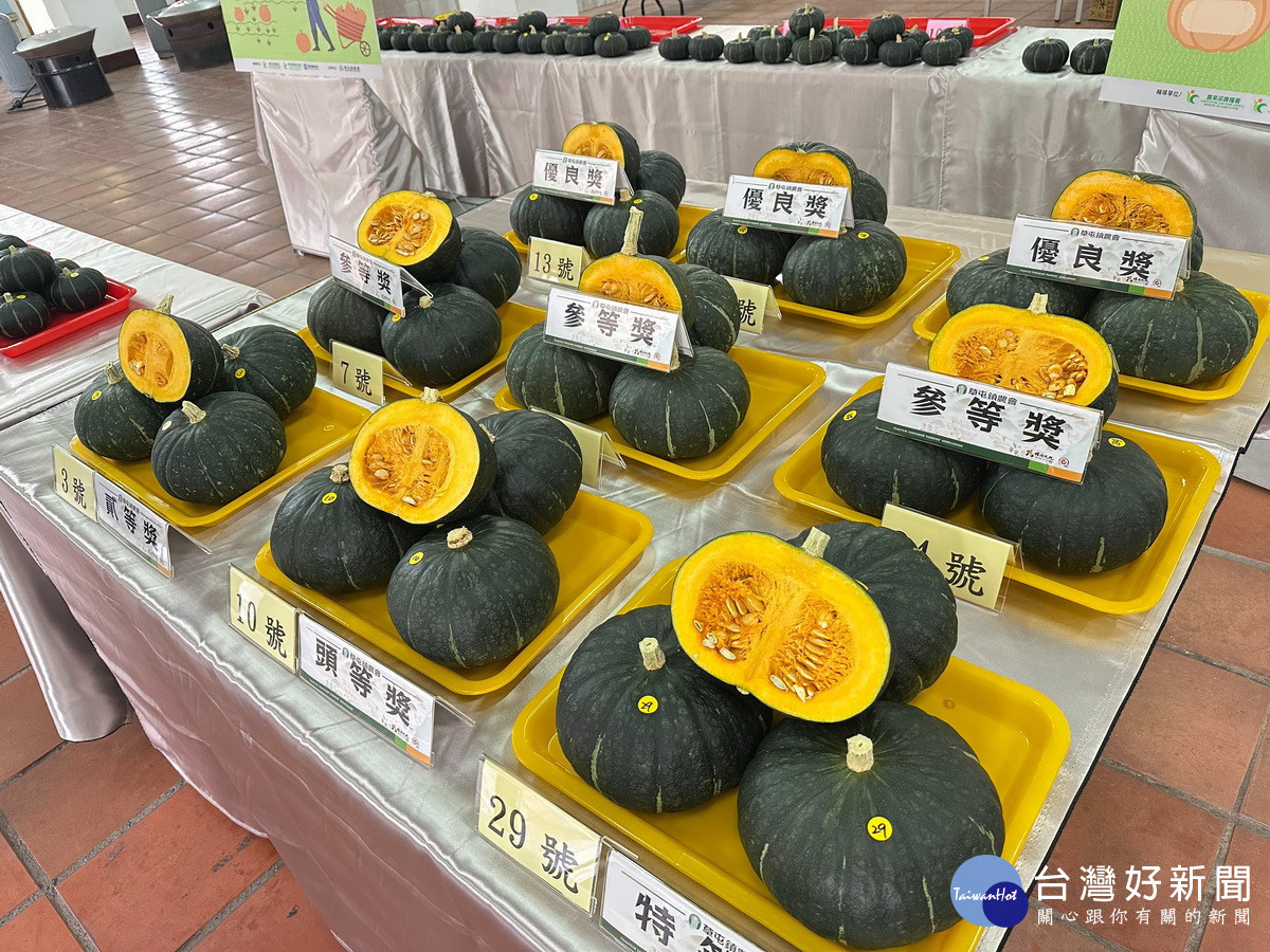 得獎栗南瓜十分優質。(草屯鎮農會提供)