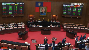 （圖／翻攝自國會頻道YouTube直播）