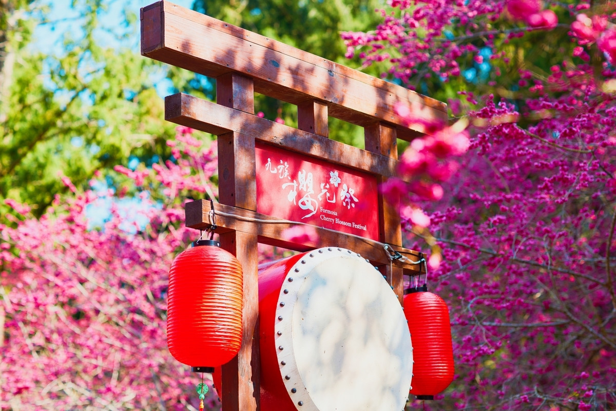 全台規模最大的賞櫻盛會「2026九族櫻花祭」正式揭開序幕。(九族提供)