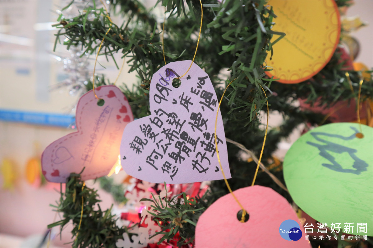 許願樹進駐安寧病房　溫柔承接生命心願