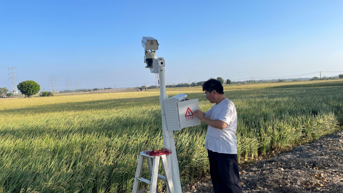 （圖／教育部資訊及科技教育司）