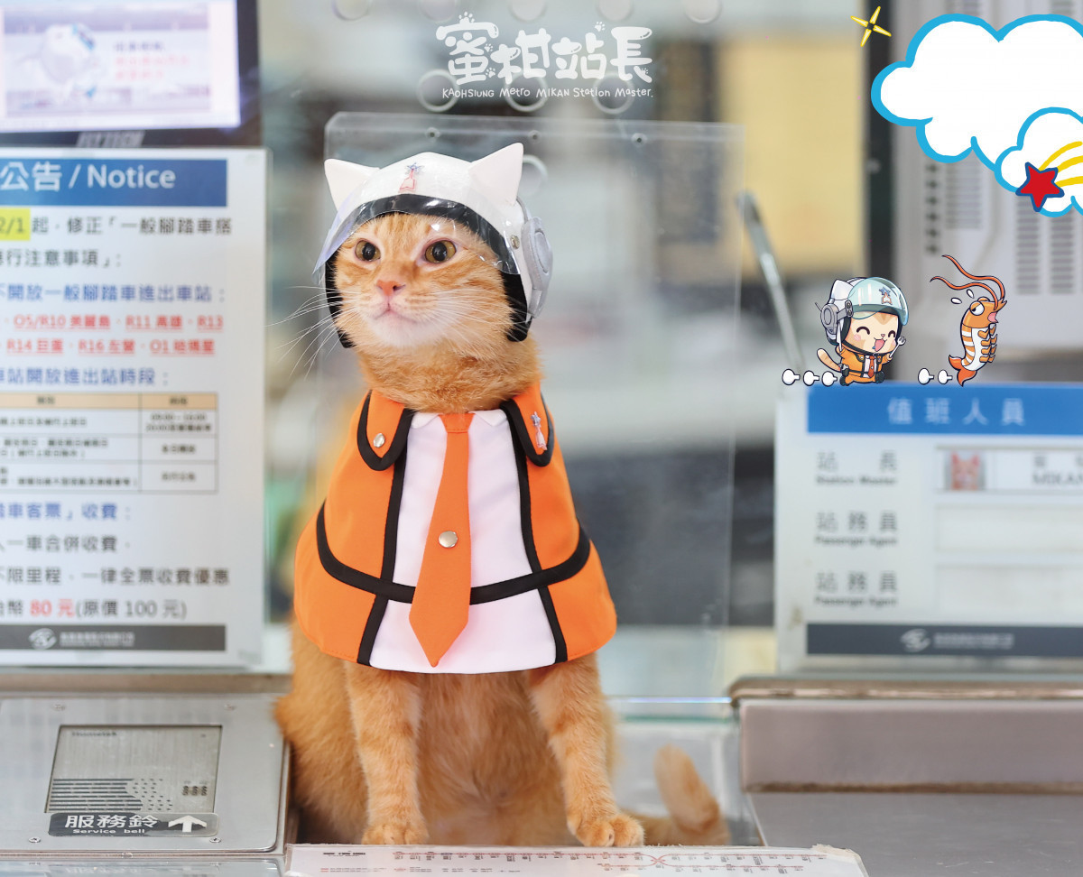 ▲萌萌蜜柑站長。