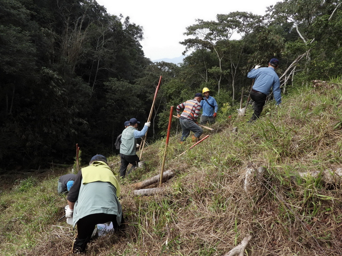 落實森林保育與生態永續理念　林保署南投分署辦「台灣原生樹種生態造林暨護蛙友善環境」活動