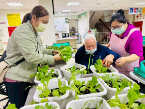 農改場吳婉苓老師（左1）與照服員（右1）共同指導長輩收割青菜，體驗栽種成果