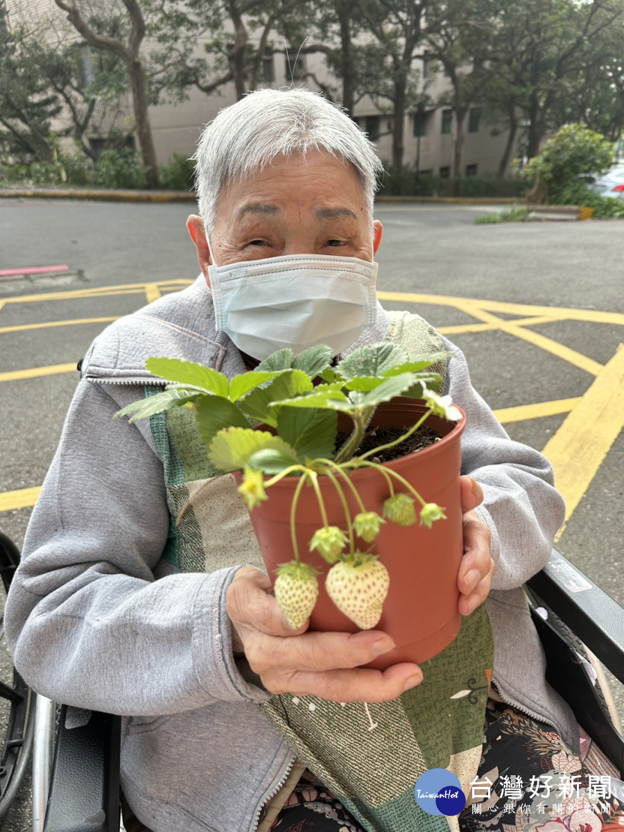 長輩捧著親手栽種的草莓，喜悅溢於言表