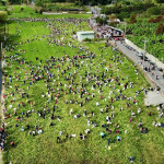 千餘民眾走進新街村田寮巷參與拔蘿蔔。（名間鄉公所提供）