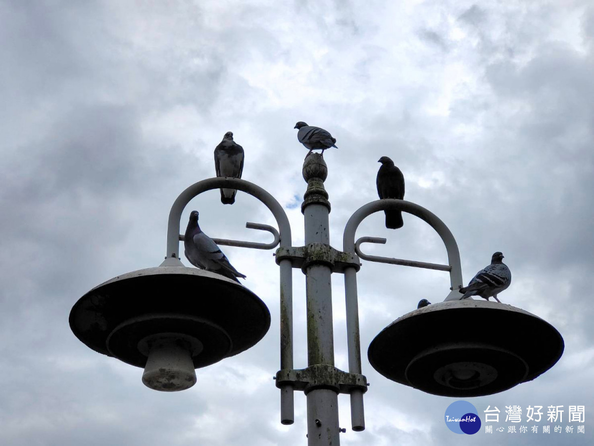 寒流合併輻射冷卻　吳德榮：部分平地恐跌破6度