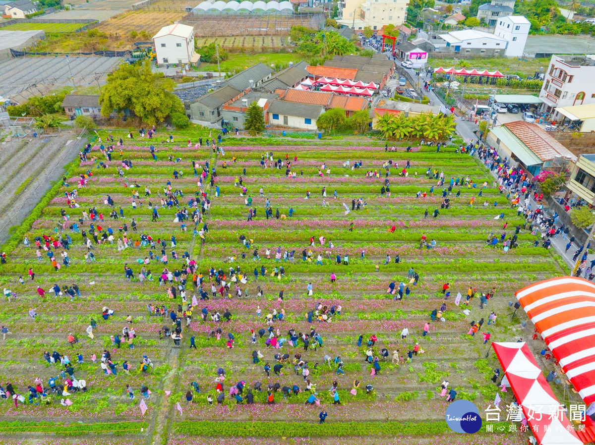 2026樂遊大村　千人拔蘿蔔體驗