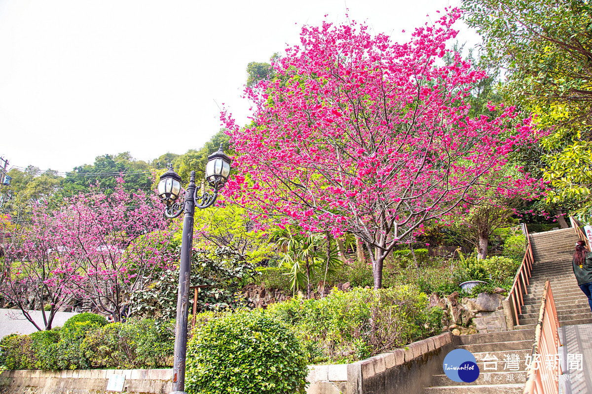 壽山巖觀音寺董事長林明義表示，新春期間，本寺於大年初一至初三發放新春福袋，象徵新年納福、福氣隨身