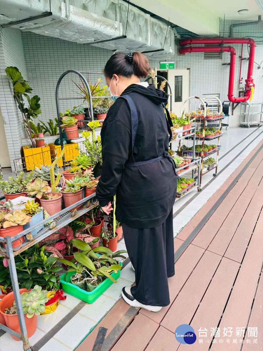 一盆植栽一份自信       桃療幸福園藝工作坊以ESG精神陪伴永續就業