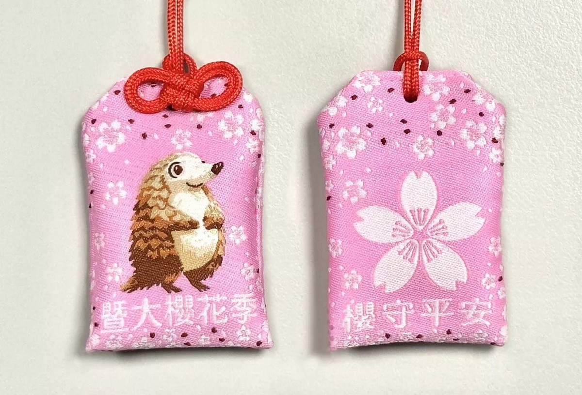 2026暨大櫻花季專屬御守，校方將於2月14日至22日的9天春節連假期間，每日提供400個限量御守，致贈給率先入場並支付停車費的小客車車主。（暨大提供）