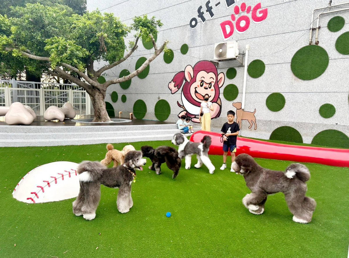 桃園山海湖漫旅　友善寵物放電地圖報你知