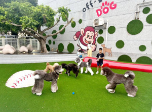 桃園市政府邀請您帶著毛小孩一起到桃園各大景點走春。