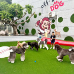 桃園市政府邀請您帶著毛小孩一起到桃園各大景點走春。