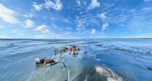 彰化沉浸式旅遊平台升級「芳苑海牛採蚵」。圖／彰化縣政府提供