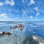 彰化沉浸式旅遊平台升級「芳苑海牛採蚵」。圖／彰化縣政府提供