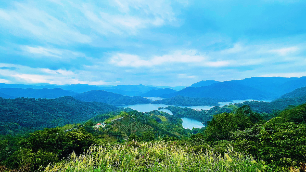 永安翠嵐觀景台視角