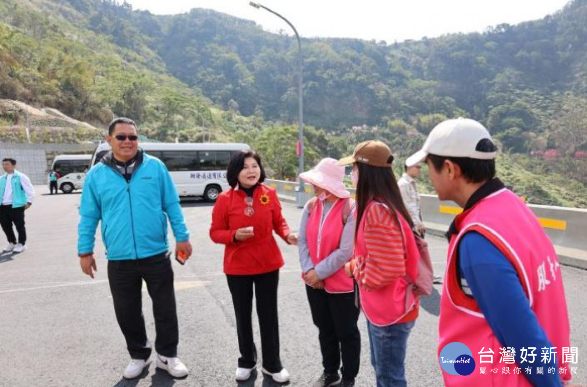古坑草嶺櫻花盛開湧人潮　張麗善勘查交通疏運