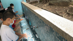 衛生局特別呼籲家長，密切留意孩子健康狀況，持續落實「生病不上學」，共同守護校園健康。