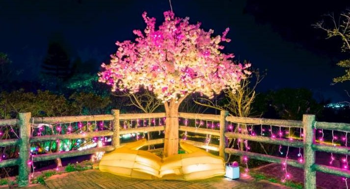 重點作品「守護之手」以大型花燈塑造出一雙張開的手，承接著粉櫻樹，並結合AR互動體驗，民眾可看見櫻花在夜空中飄落的美景。圖/蘆竹區公所提供