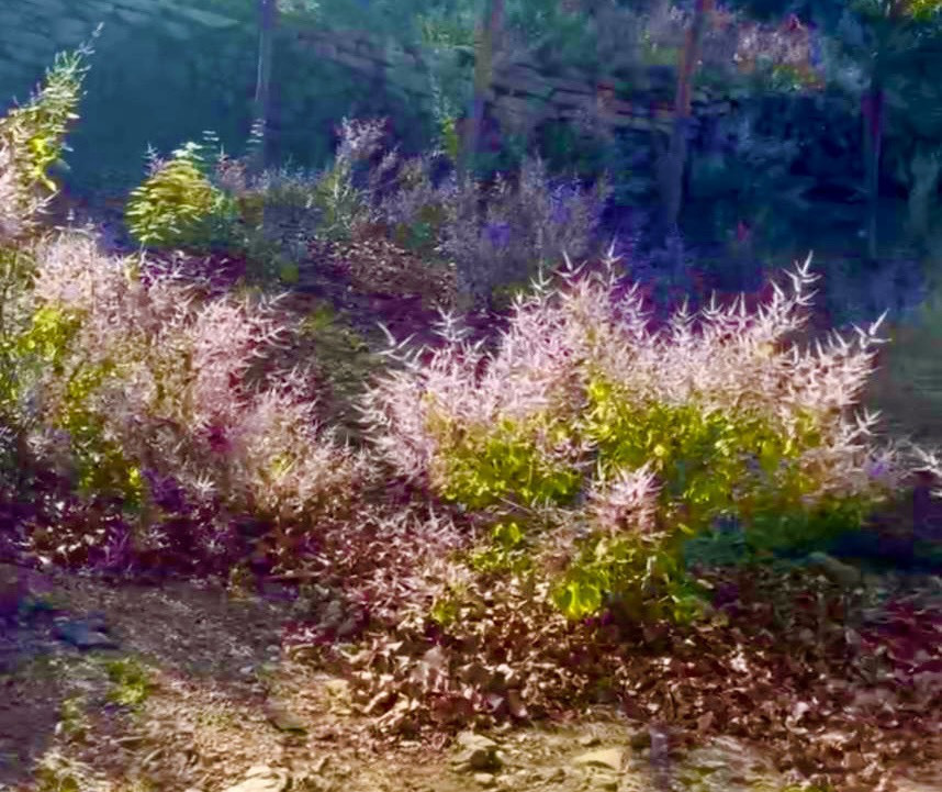 228連假去哪裡踏青野遊？　南化烏山厚德紫竹寺賞花、烏山步道健行正當時